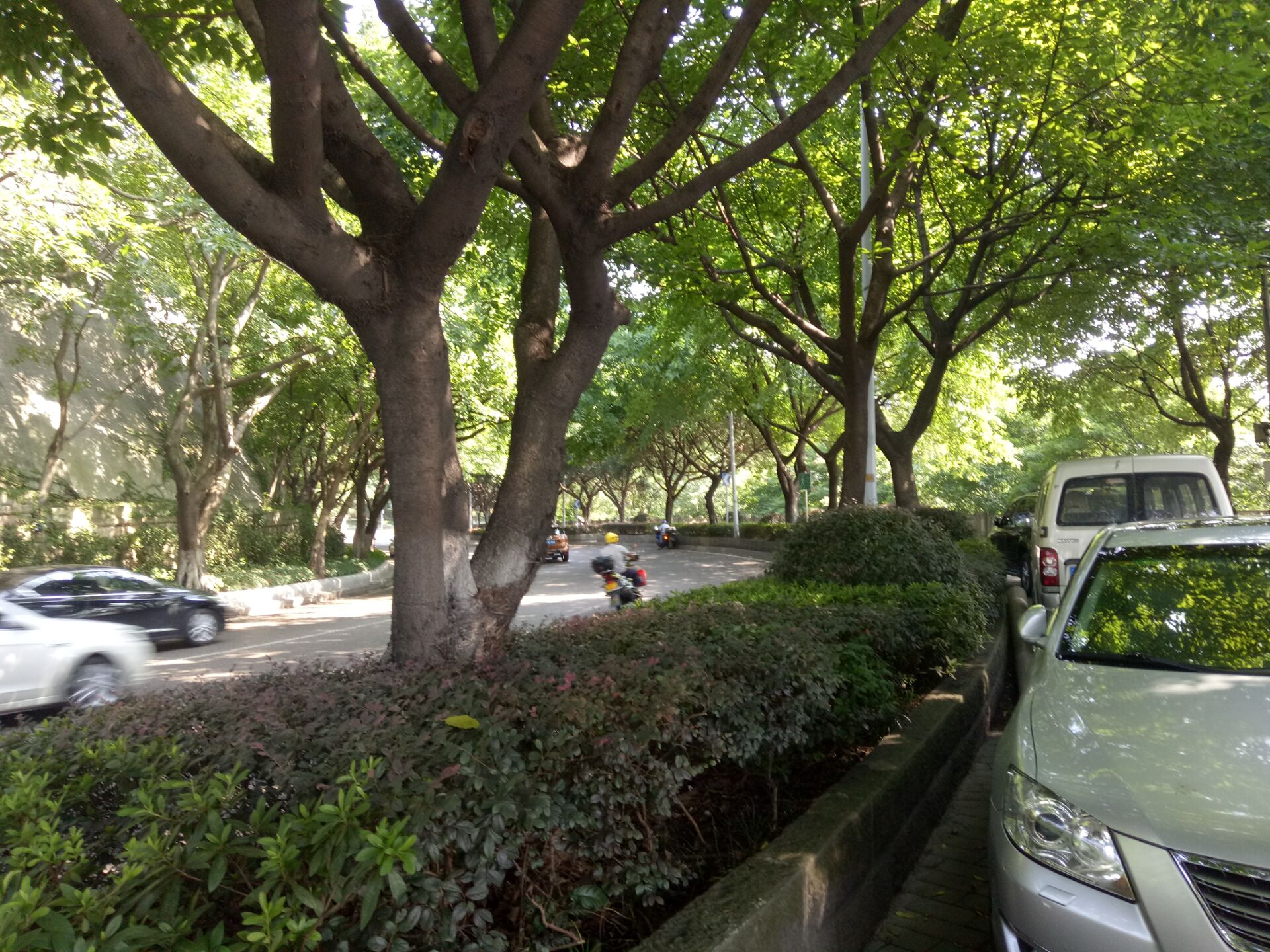 重慶市渝中區(qū)愛民老年服務(wù)中心