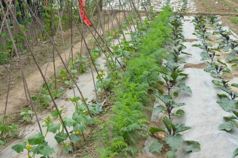 海淀區(qū)金山敬老院 海淀區(qū)金山敬老院