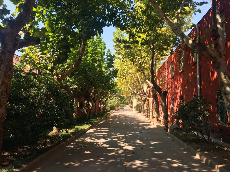 江蘇省徐州市銅山區(qū)天愛家園