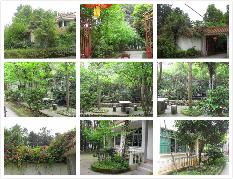 南充市高坪區(qū)青松園療養(yǎng)院