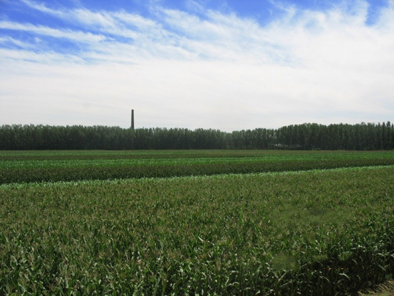 北京市房山區(qū)琉璃河鎮(zhèn)國(guó)立老年福利院