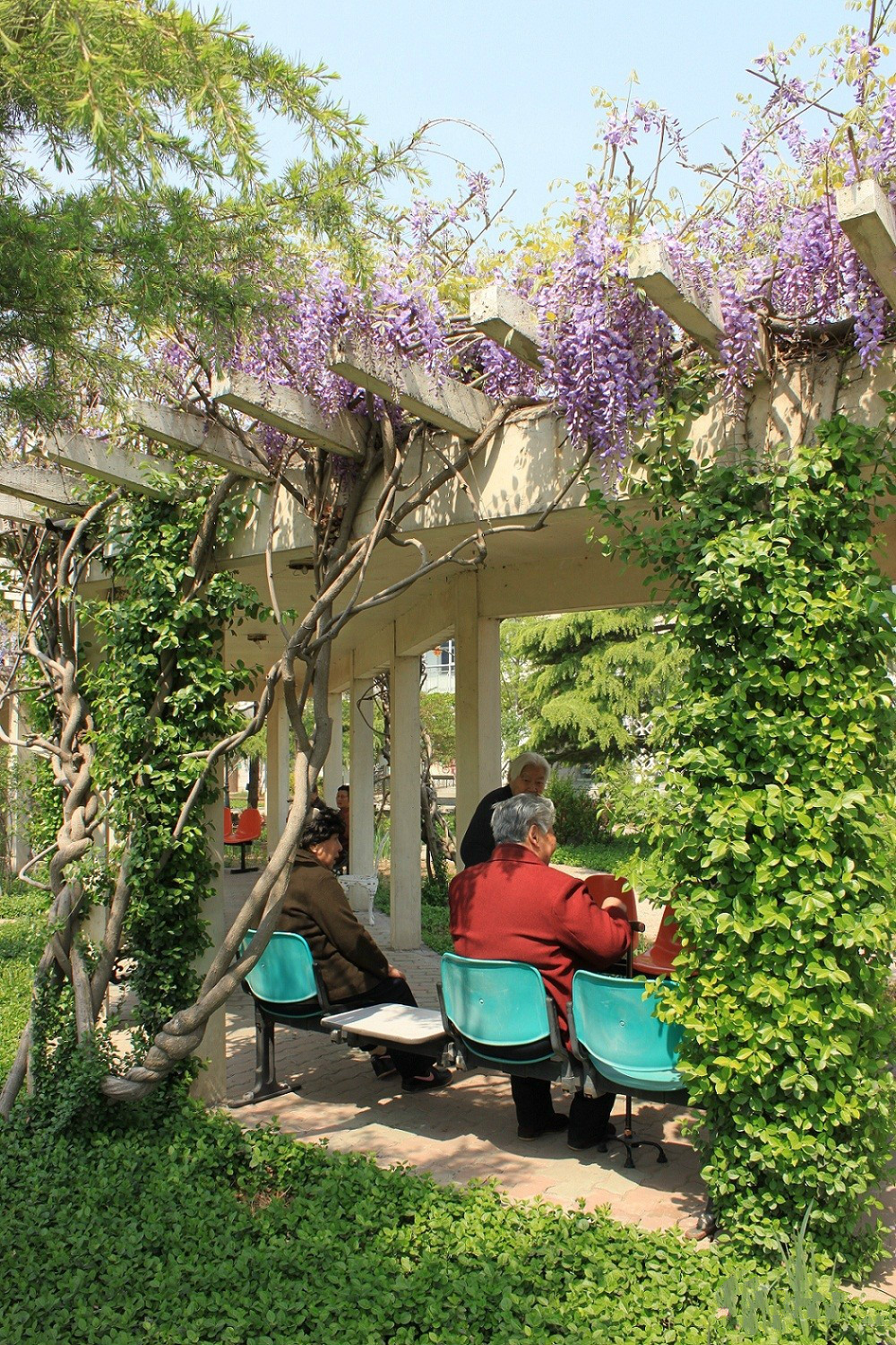 北京市昌平區(qū)愛地老人頤養(yǎng)中心