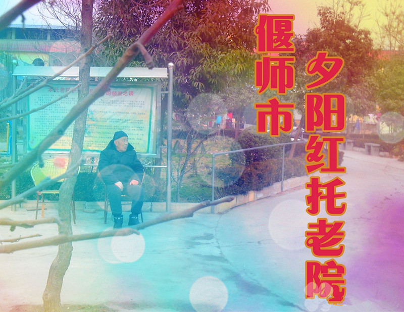 河南省洛陽市偃師市夕陽紅托老院（養(yǎng)老公寓）