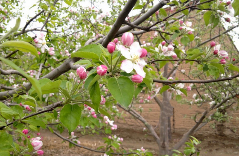北京鷗情老年頤養(yǎng)院