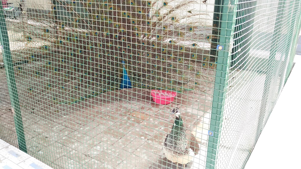 北京市大興區(qū)愛晚老年護(hù)理院