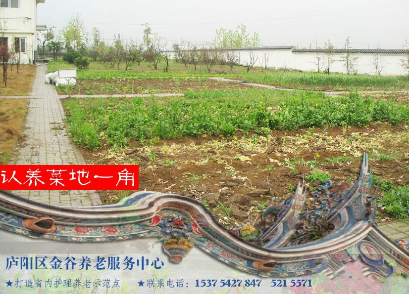 合肥市廬陽區(qū)金谷養(yǎng)老服務(wù)中心 合肥市廬陽區(qū)金谷養(yǎng)老服務(wù)中心