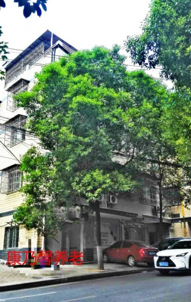 長沙市天心區(qū)康乃馨老年養(yǎng)護中心