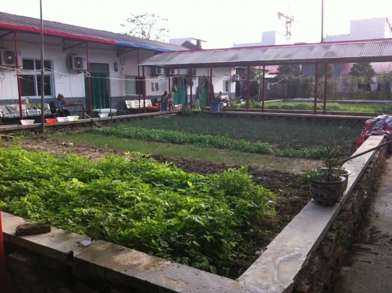 上蔡縣康樂(lè)敬老院