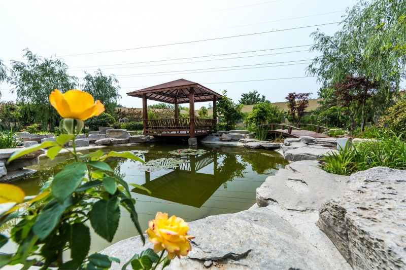 青島金大地博愛養(yǎng)老院