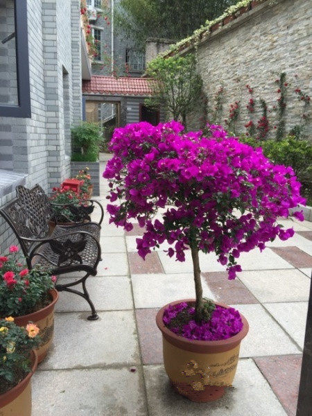 貴陽市云巖區(qū)祈曦養(yǎng)老院