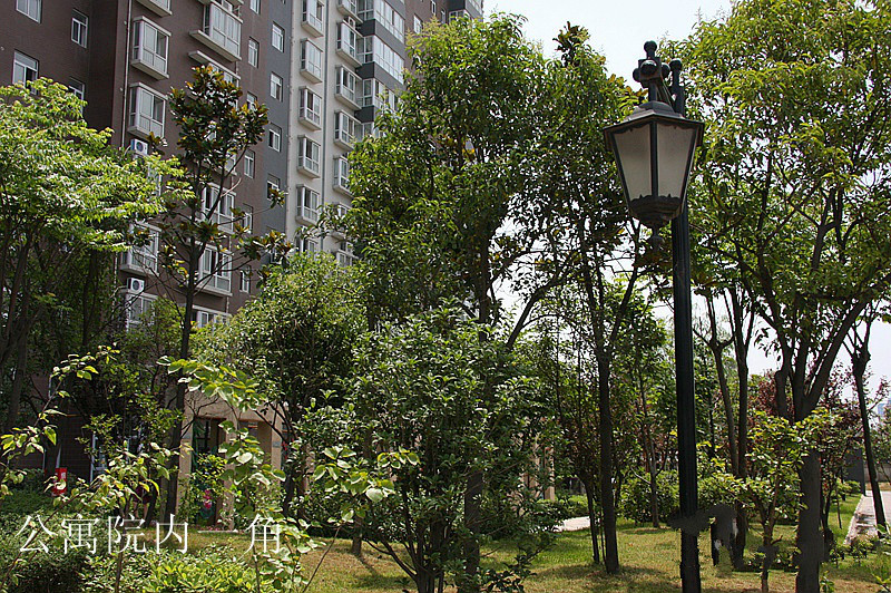 秋實文化老年公寓 秋實文化老年公寓