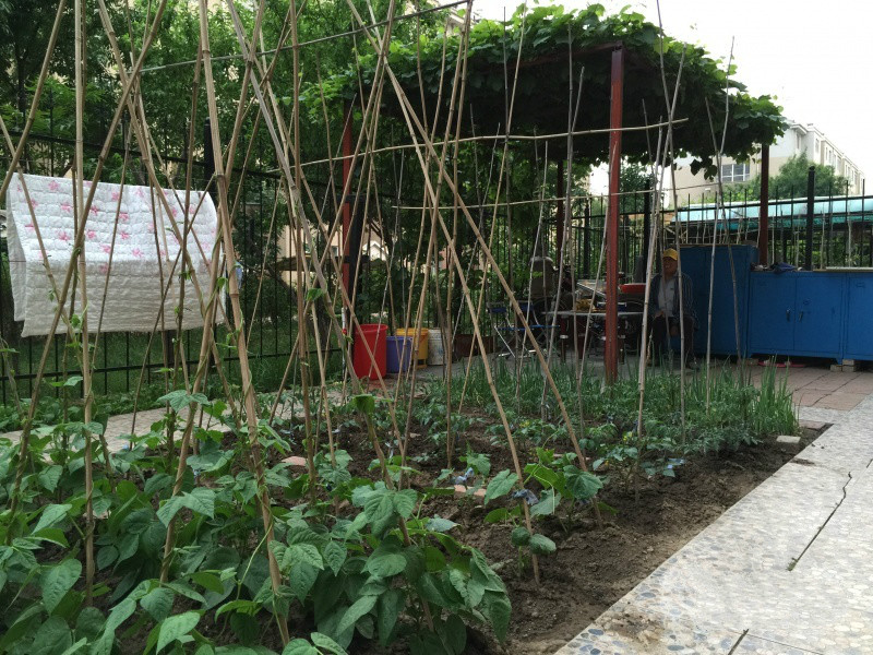 沈陽(yáng)愛(ài)心護(hù)理院 沈陽(yáng)愛(ài)心護(hù)理院