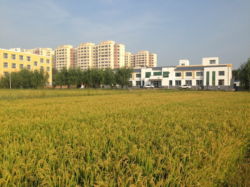 李博士朝鮮族老年公寓