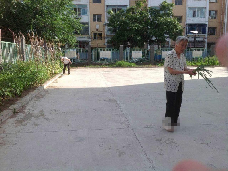 吉林市龍?zhí)秴^(qū)紅蘋果養(yǎng)老院