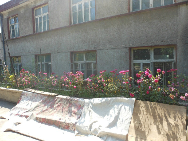 平山區(qū)溫馨敬老院