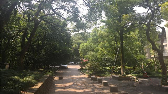 清波街道敬老院 清波街道敬老院