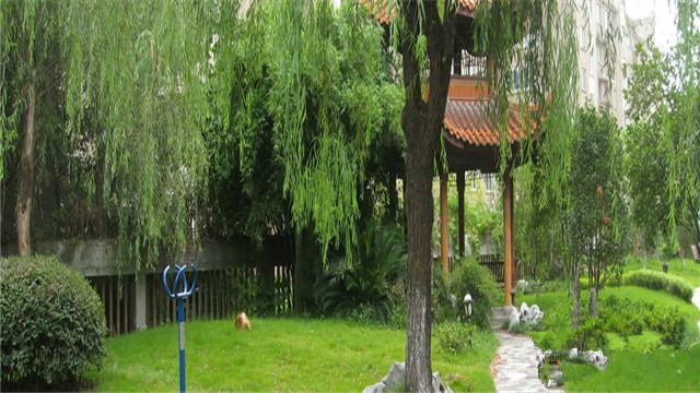 杭州市第二社會(huì)福利院