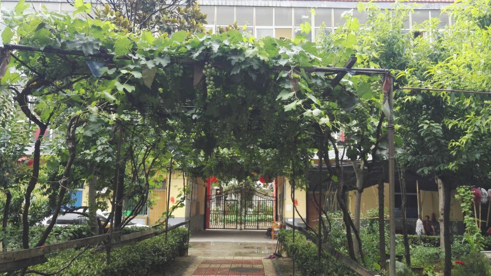 西安頤和園老年公寓 西安頤和園老年公寓