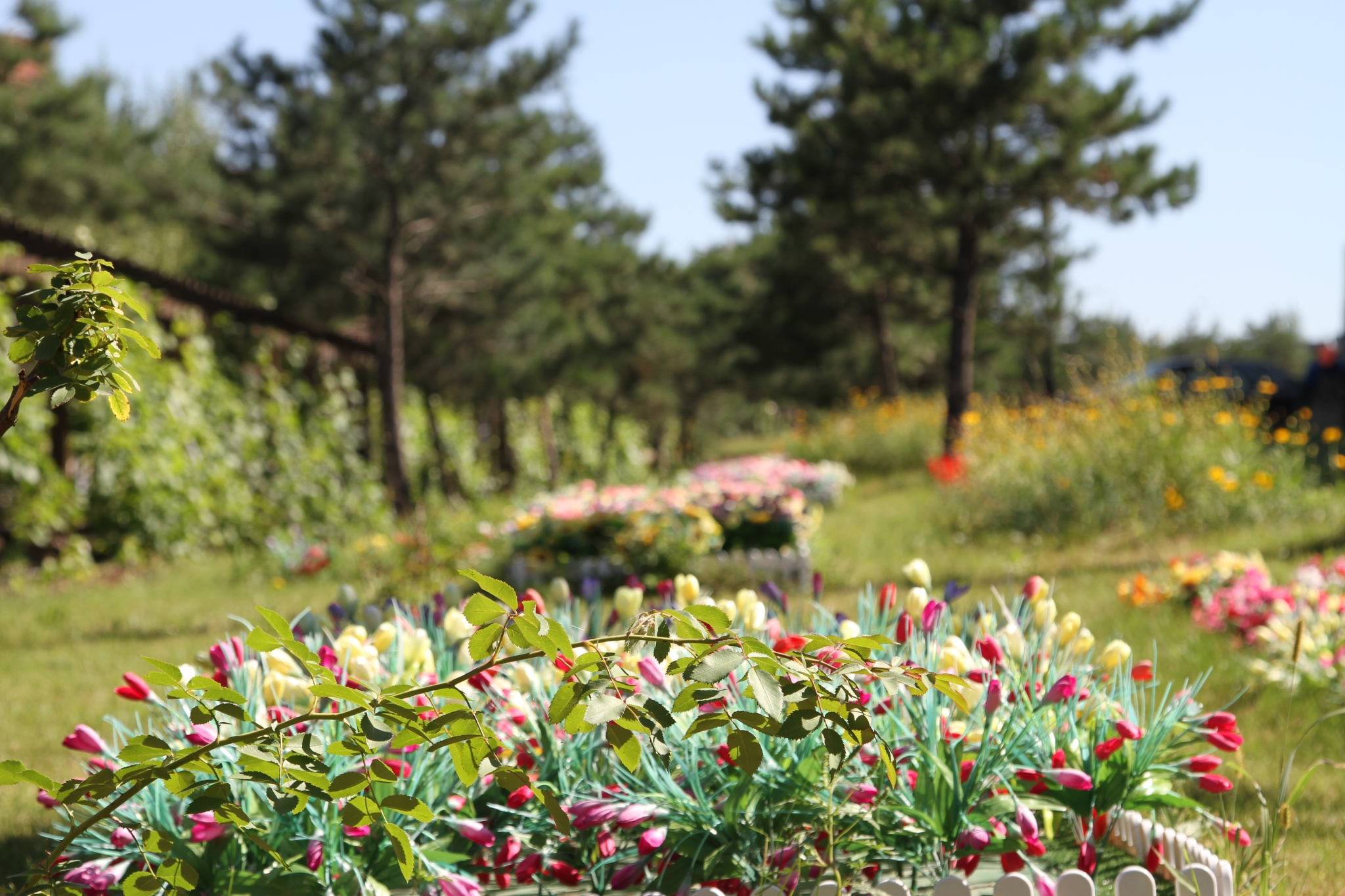 鑫夕陽溫泉康復(fù)養(yǎng)老院