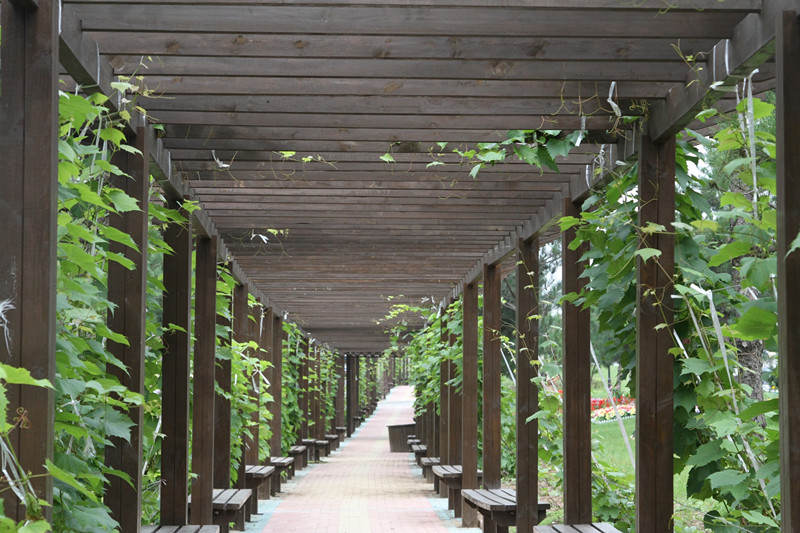 鑫夕陽溫泉康復(fù)養(yǎng)老院