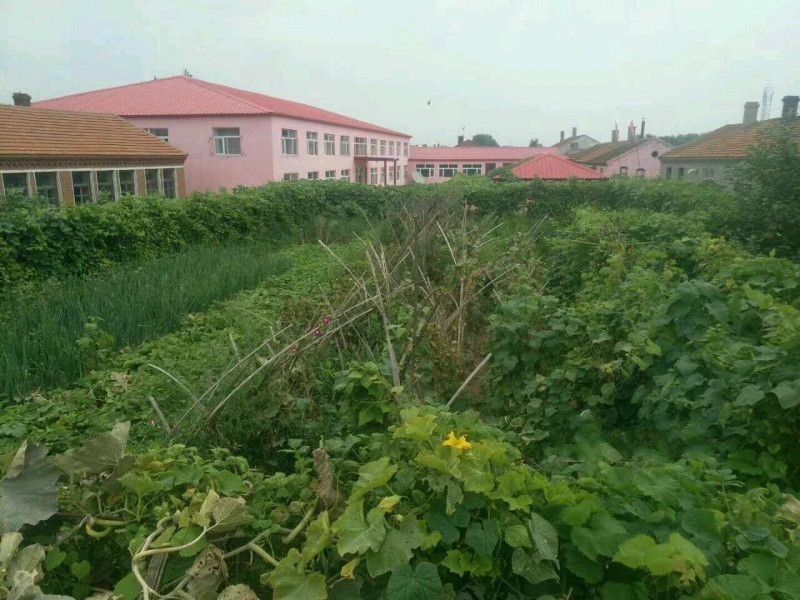 哈爾濱道里區(qū)機場路新農(nóng)鎮(zhèn)冠誠老年公寓