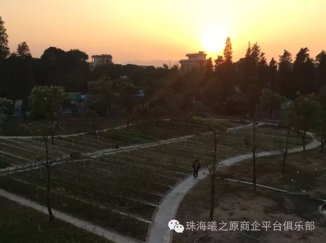 廣東省珠海市曦之原候鳥度假養(yǎng)生養(yǎng)老基地