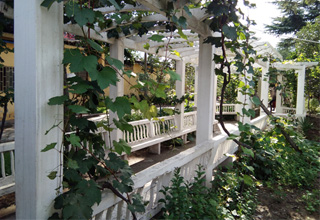 鄭州市惠濟(jì)區(qū)頤百歲老年公寓