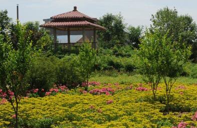 北京市大興區(qū)頤樂養(yǎng)老院