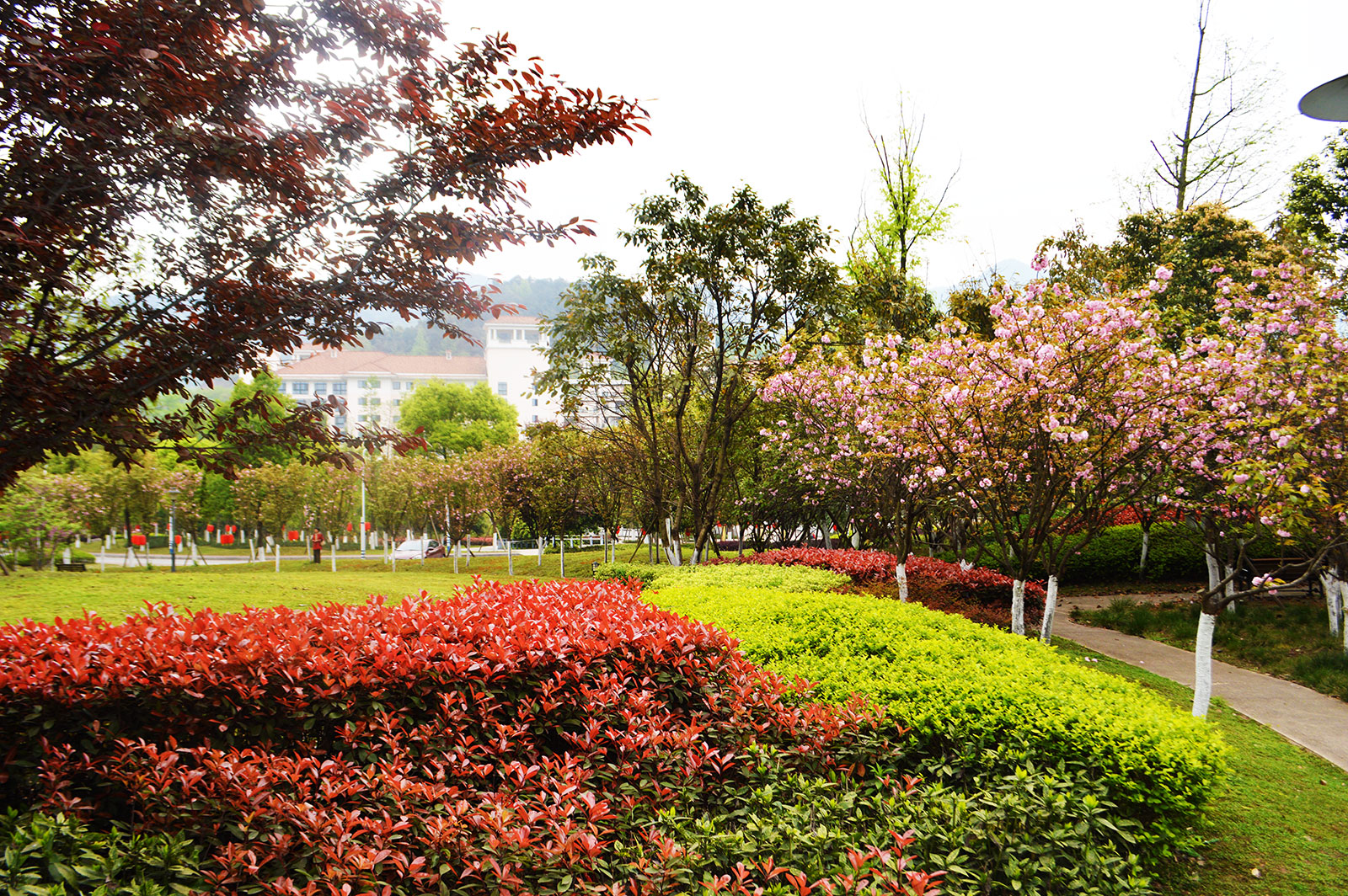 青杠老年護養(yǎng)中心