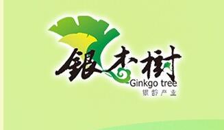 南京市鼓樓區(qū)湖南路銀杏樹(shù)老年人服務(wù)中心