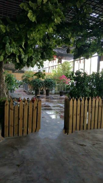 老來福生態(tài)養(yǎng)老院 老來福生態(tài)養(yǎng)老院