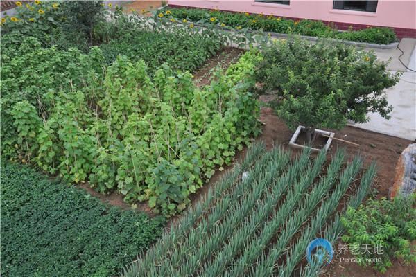 錦州市松山春玥軒養(yǎng)老院