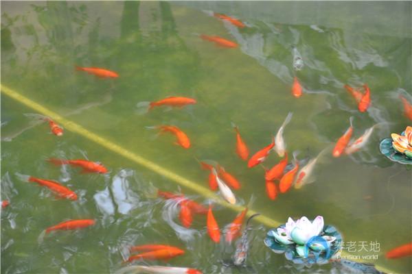 錦州市松山春玥軒養(yǎng)老院