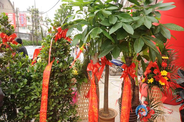 合肥童話名苑老年公寓 合肥童話名苑老年公寓