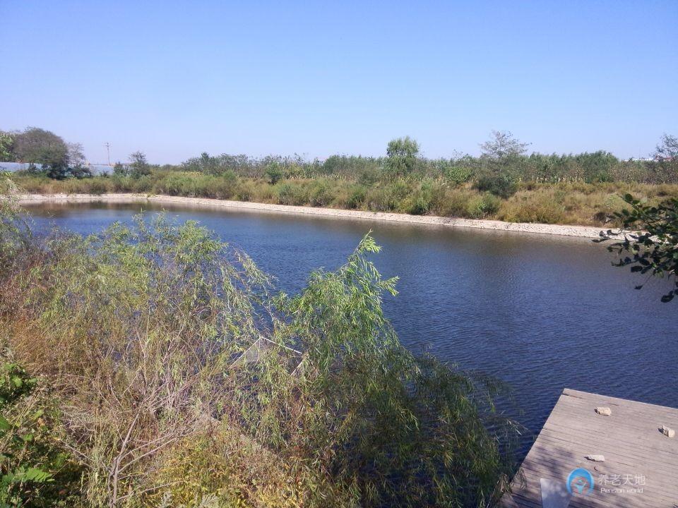 大連金州新區(qū)臥龍國際養(yǎng)老中心