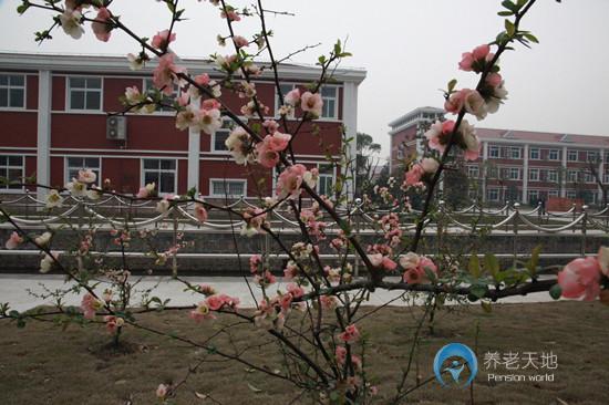 上海市金山區(qū)東林養(yǎng)老院