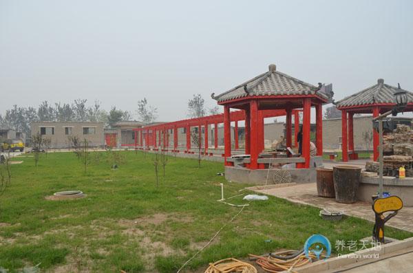 石家莊市長安區(qū)福壽居養(yǎng)老院