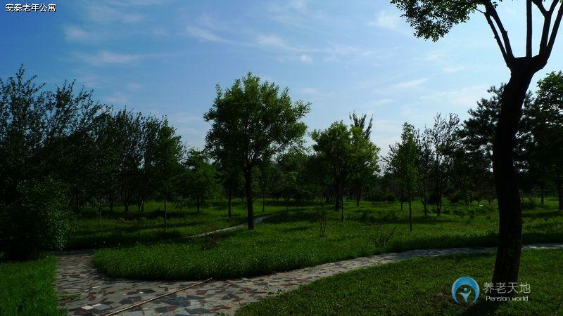 廊坊市安泰老年公寓 廊坊市安泰老年公寓