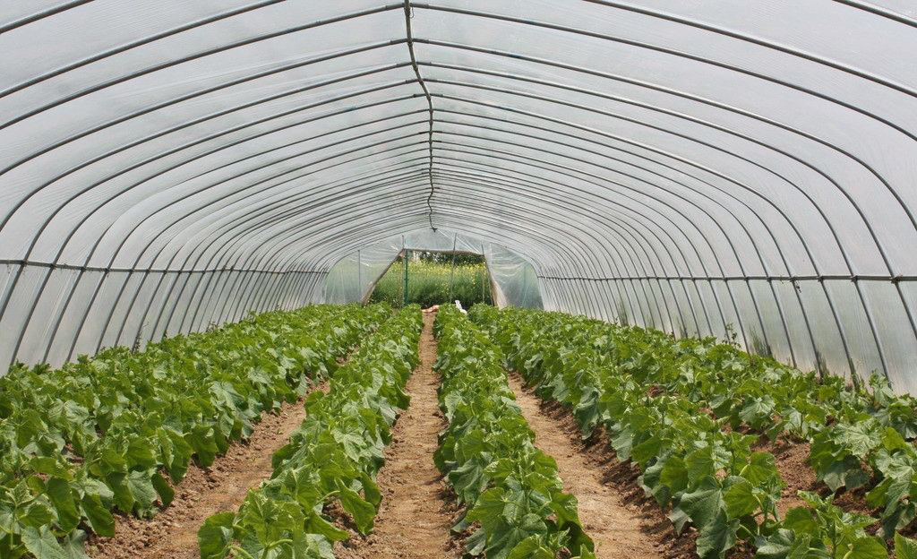 哈爾濱市百姓康年養(yǎng)老公寓