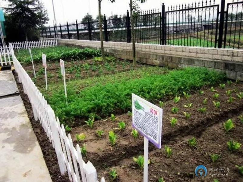 蘭陵鎮(zhèn)頤康老年公寓
