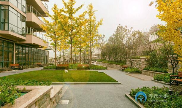 朗和銀湖國際醫(yī)養(yǎng)中心