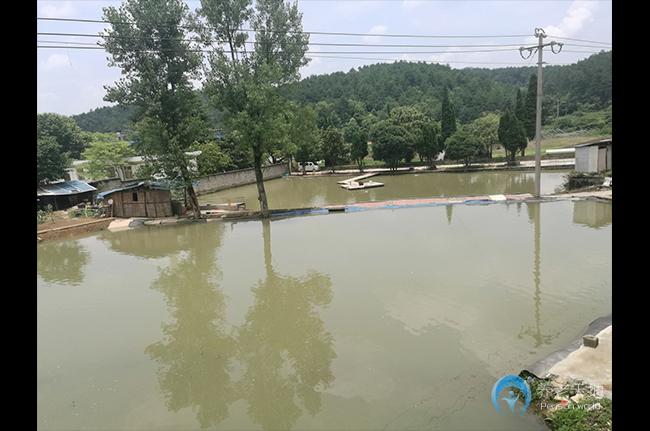 貴陽市花溪區(qū)盡心托老院
