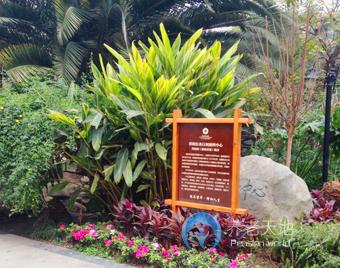 成都市青羊區(qū)祥和長(zhǎng)者康護(hù)中心