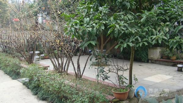 重慶住佳老年護(hù)理院 重慶住佳老年護(hù)理院