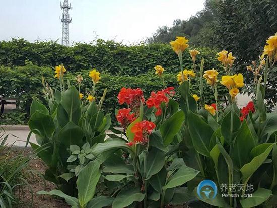 沈陽(yáng)市沈北新區(qū)博大老年公寓