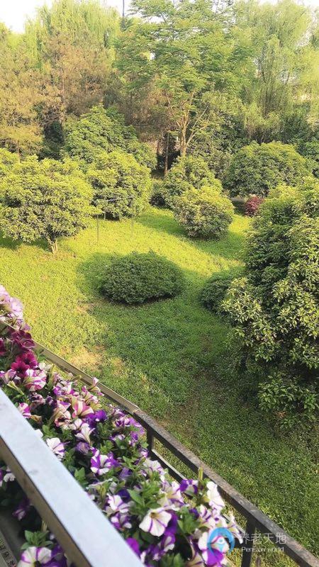 杭州市西湖區(qū)府苑新村養(yǎng)老院 杭州市西湖區(qū)府苑新村養(yǎng)老院