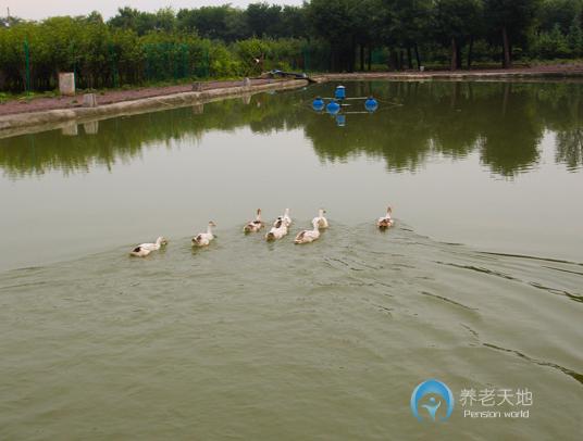 西安灃峪口灤鎮(zhèn)養(yǎng)老公寓 西安灃峪口灤鎮(zhèn)養(yǎng)老公寓