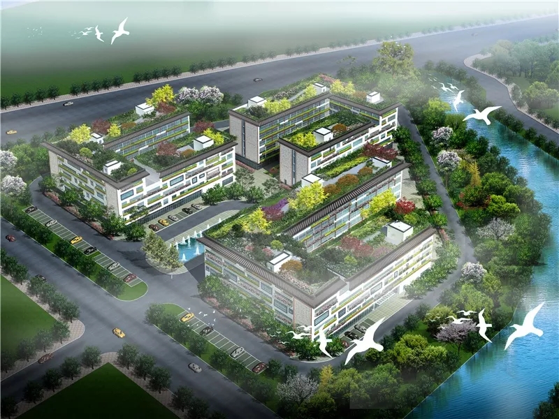 深圳生命樹千歲城長者俱樂部 深圳生命樹千歲城長者俱樂部