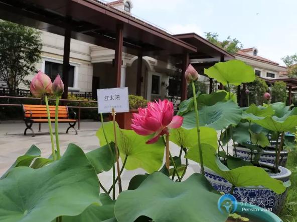 上海市嘉定區(qū)遠(yuǎn)洋·椿萱茂虹灣長者社區(qū)