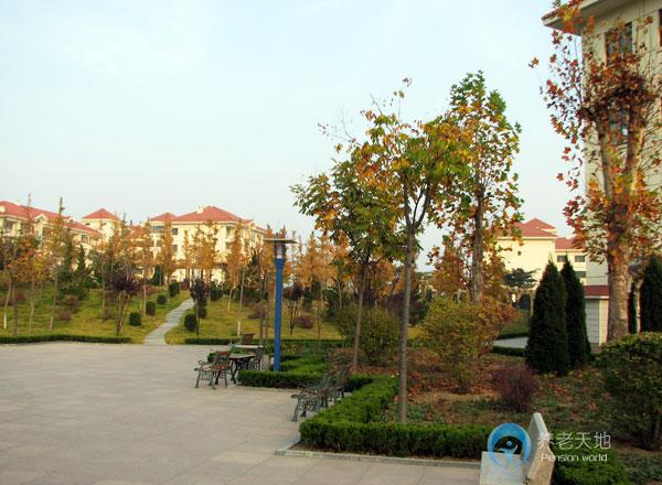 煙臺(tái)市老年福利服務(wù)中心 煙臺(tái)市老年福利服務(wù)中心